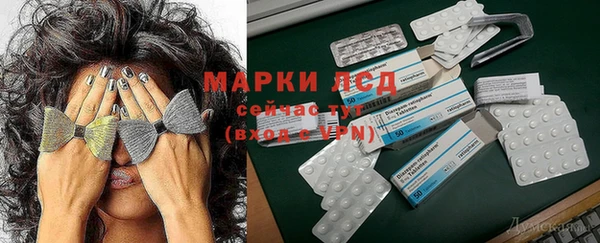 тгк Алзамай