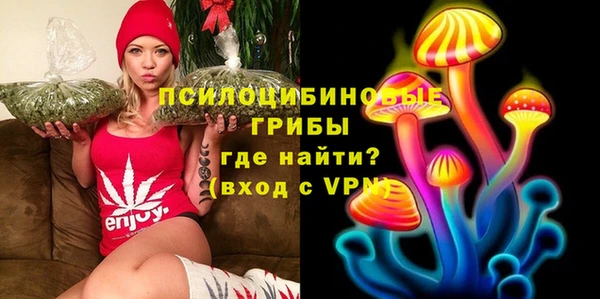 тгк Алзамай